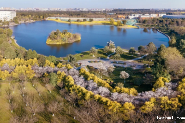 【图片】云赏花 | 看你心心念念的成电有多美!