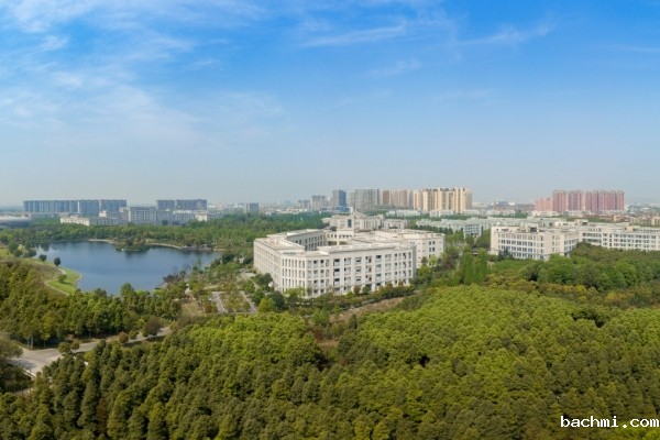 调整高考加分,促进教育公平