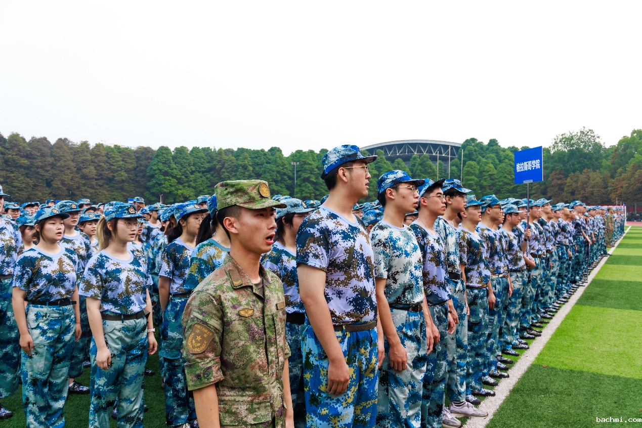 86ea3071692cfac2c8c602cd4a316e66_42e36.p